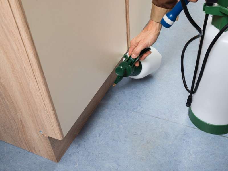 Integrated Pest Management (IPM) Integrated Pest Management (IPM)